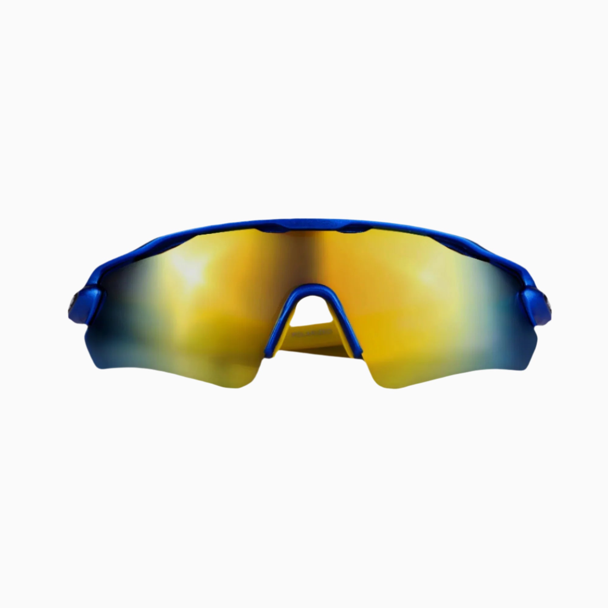 POLARIZED - SUN GLASS