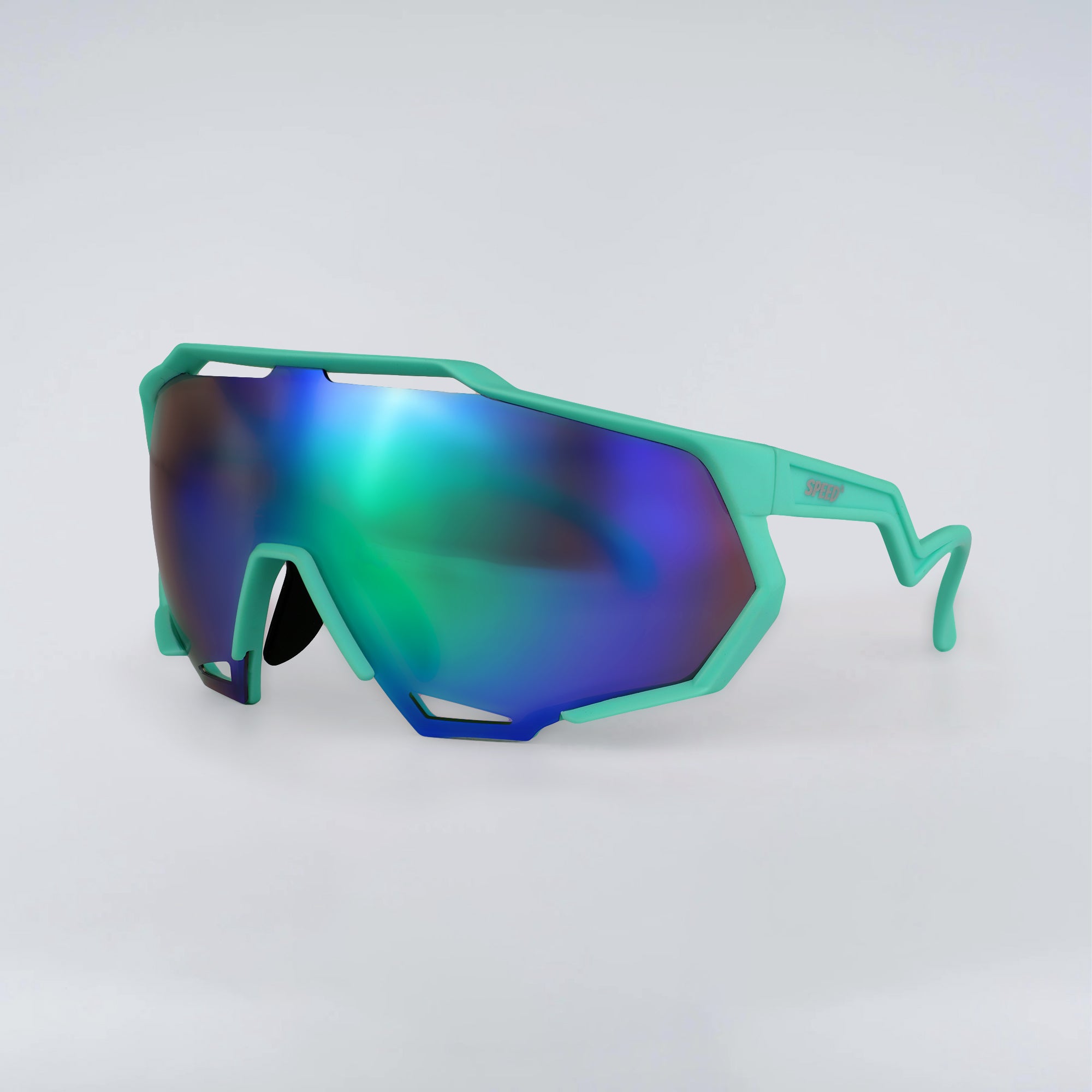 SP 201 SUNGLASSES
