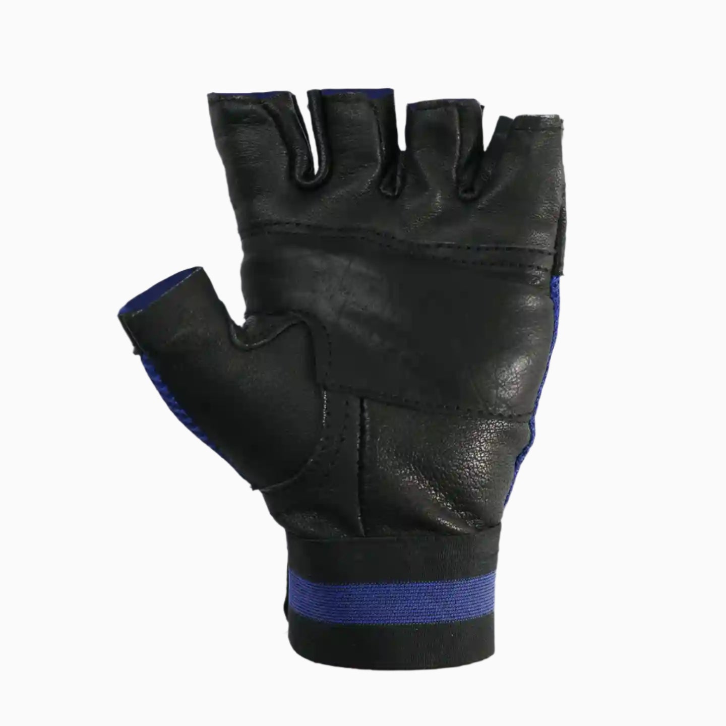 MUSCULAR - GYM GLOVES