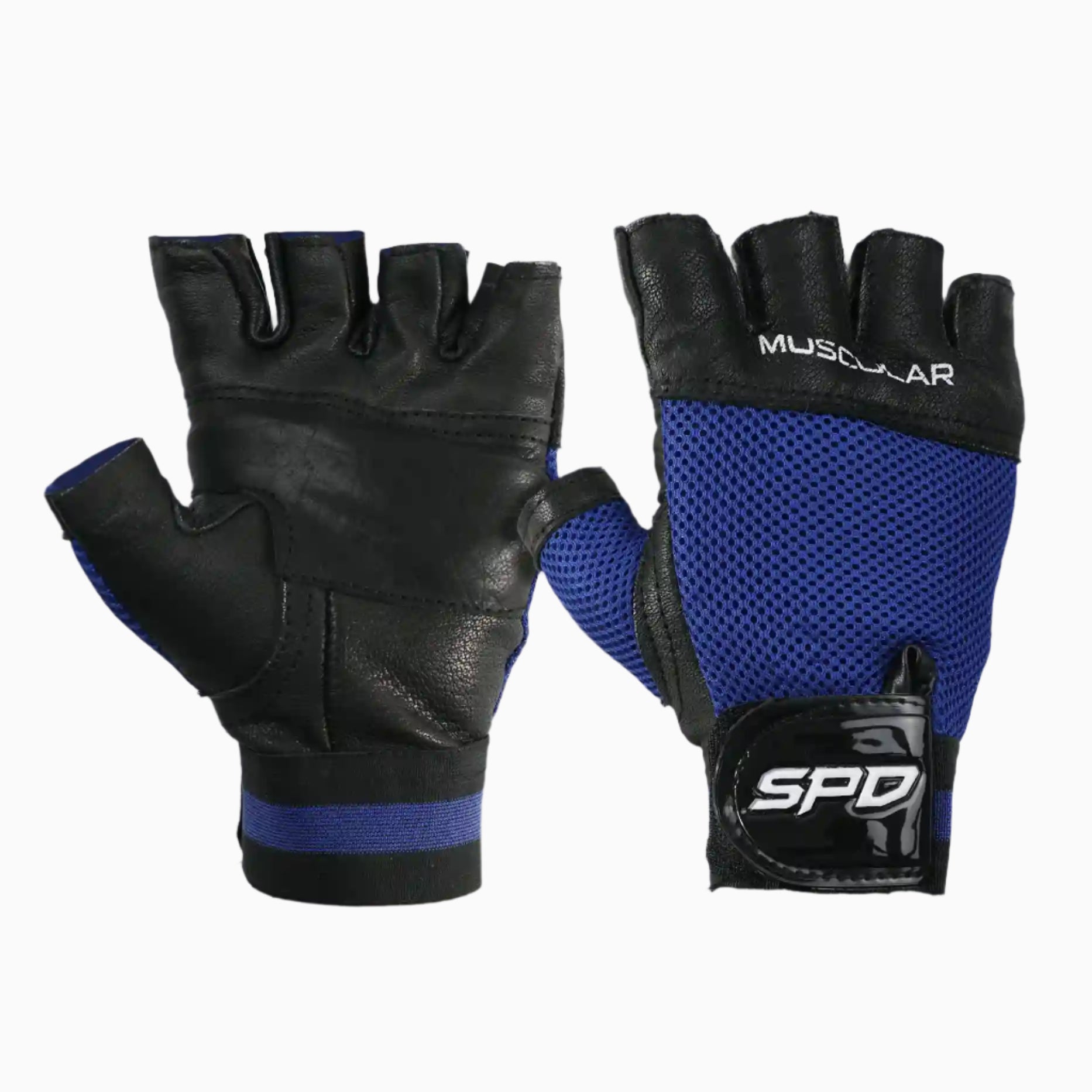 MUSCULAR - GYM GLOVES