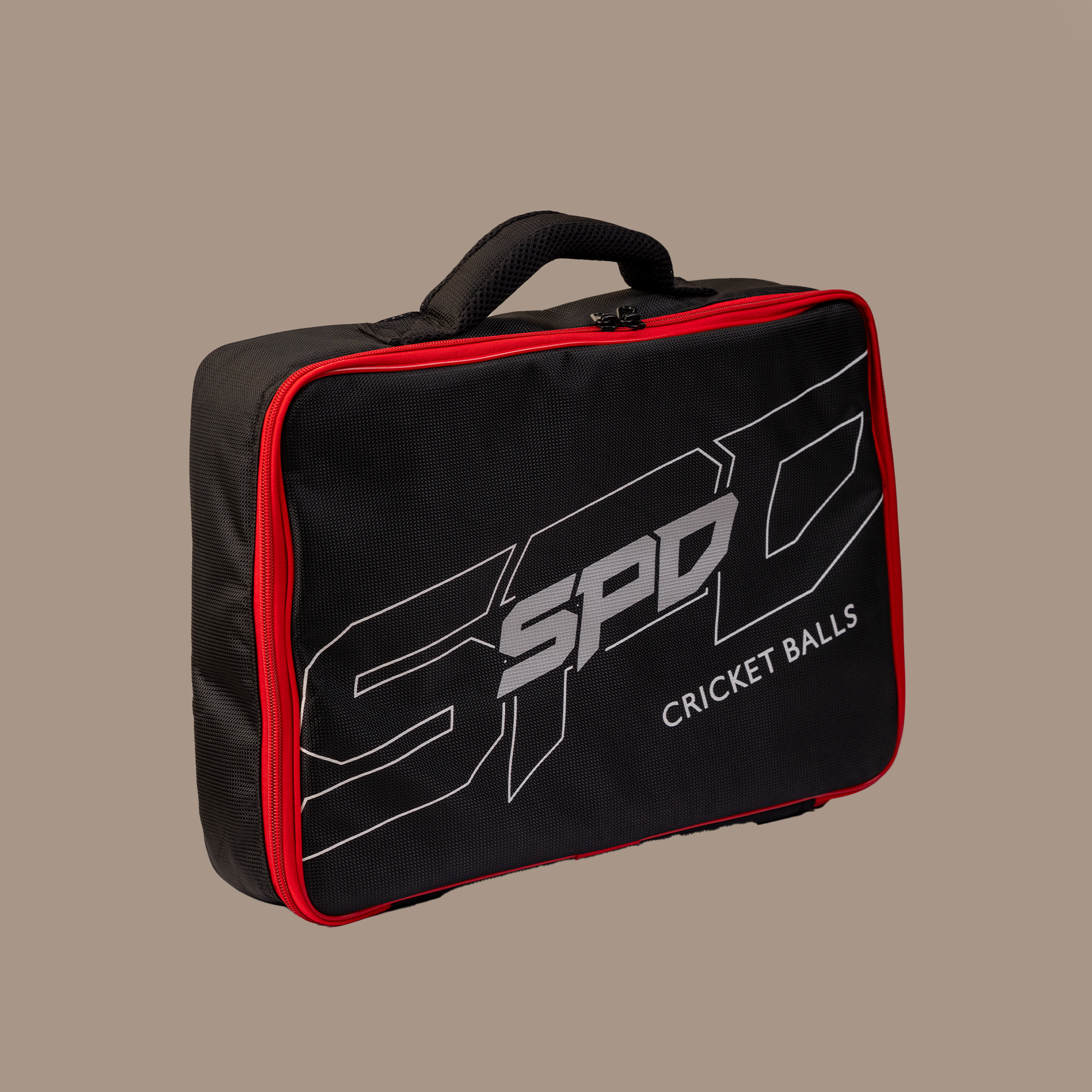 LEATHER BALL CARRY BAG