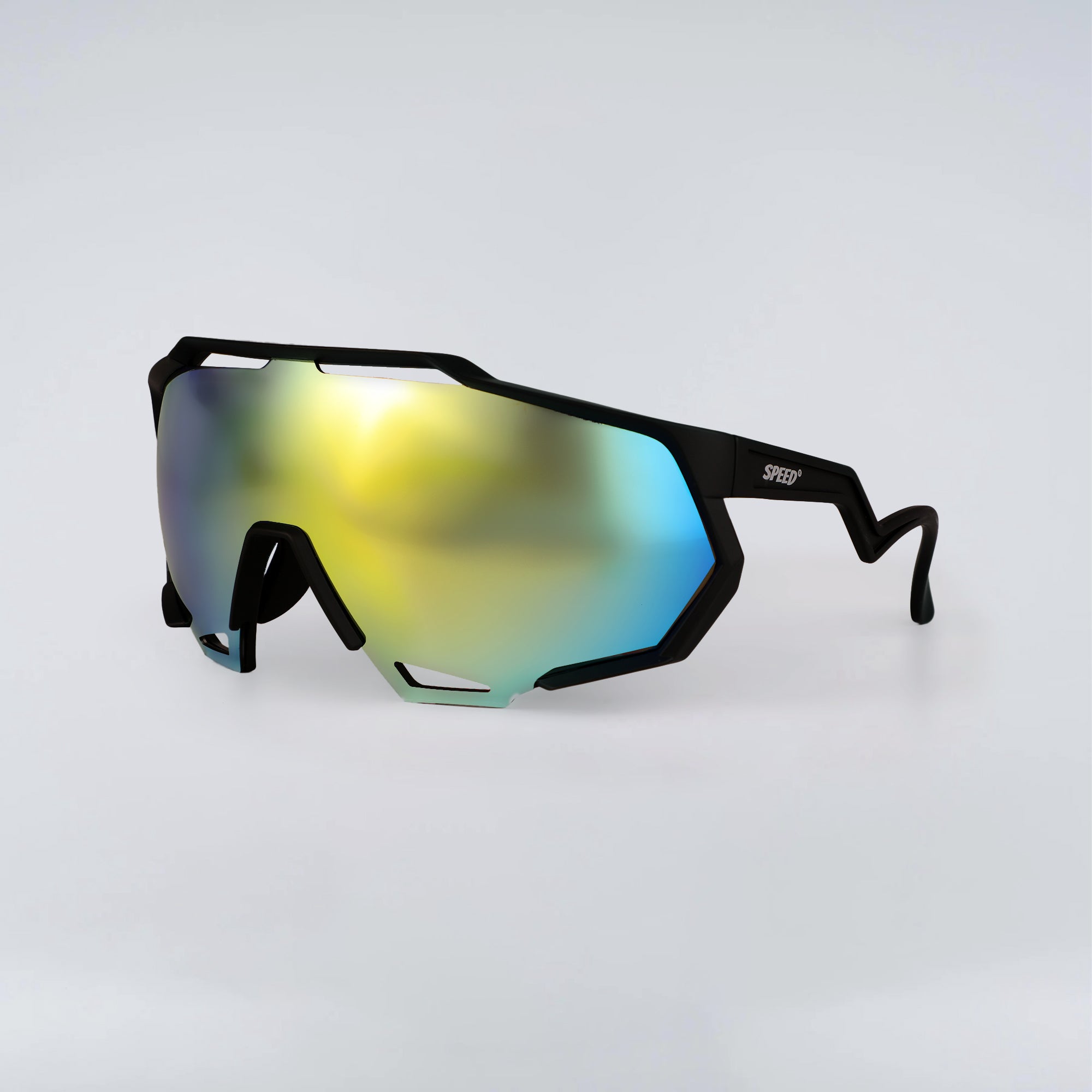 SP 201 SUNGLASSES