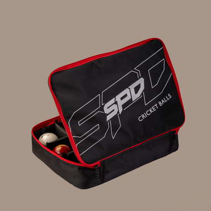 LEATHER BALL CARRY BAG