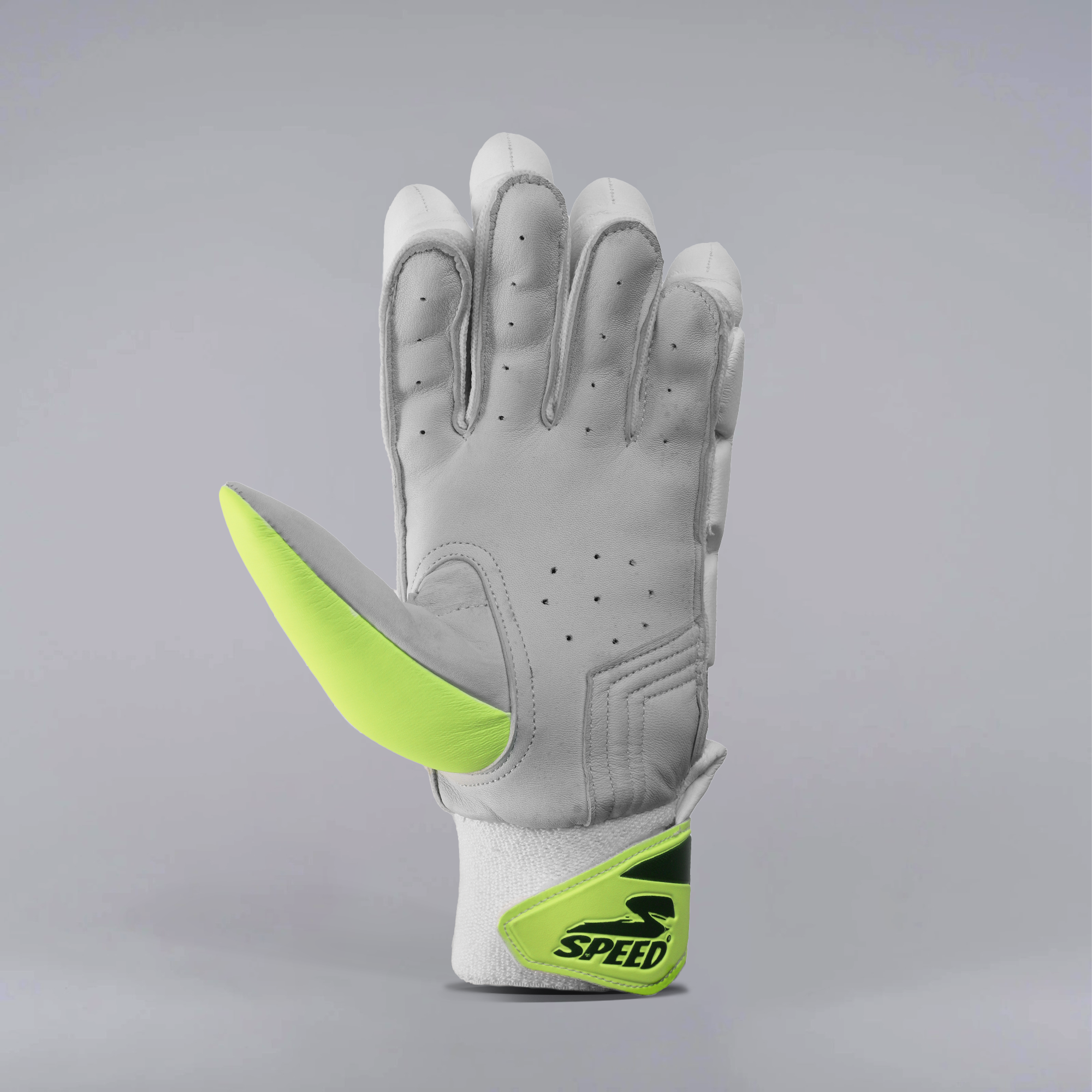 TP EDITION - BATTING GLOVES